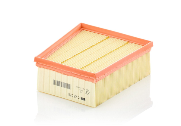 MANN C22026 | Renault Talisman 2015- 1.3 Tce Hava Filtresi