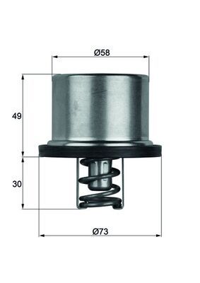 MAHLE THD175 | Termostat