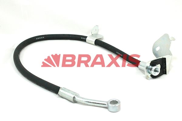 BRAXIS AH0329 | Arka Sol Fren Hortumu Captiva 06 >