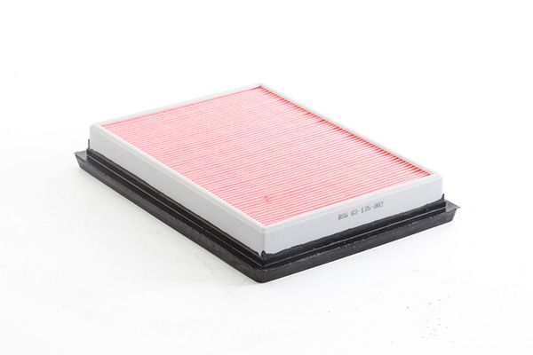 BSG 63-135-002 | Hava Filtresi .