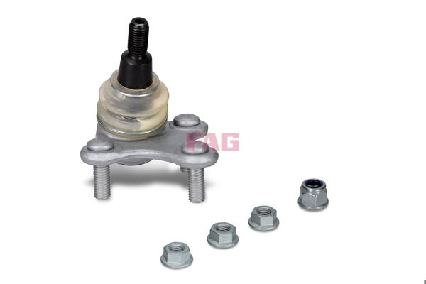 FAG 825050610 | Rotil Alt Sol Caddy-Connect Bm 20