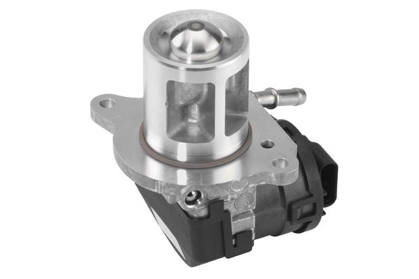 BORGWARNER 710095D | EGR Valfi 642 164 / 212 / 221