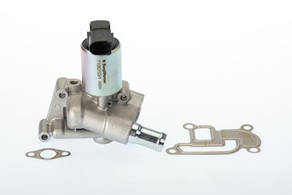 BORGWARNER 710831D | EGR Valfi Opel Astra G / H / Corsa D Z12xep-Z14xep