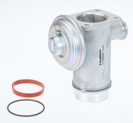 BORGWARNER 711025D | EGR Valfi E-60 / 65 / 70 / 71 / 87 / 90 / 92 / 93 M-47 N2 / M-57 N2