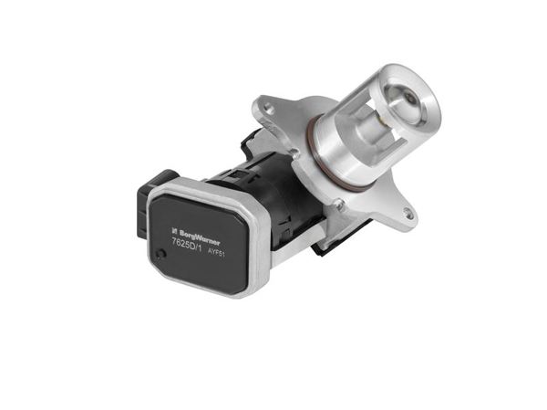BORGWARNER 7625D | EGR Valfi 646 204 / 211