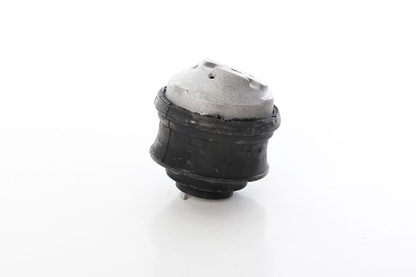 BSG 60-700-253 | Motor Kulağı