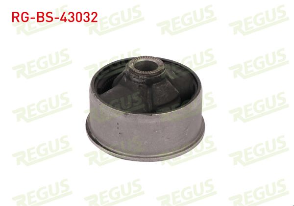 REGUS RG-BS-43032 | Salıncak Burcu Ön Sol-Sağ Toyota Avensis Verso (Clm2,Acm2) 2.0 D-4D 2001-2009