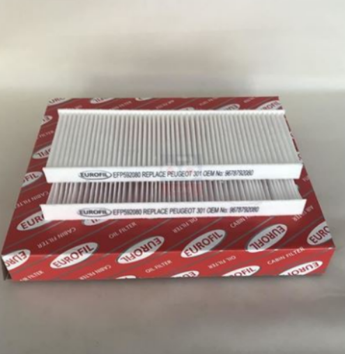 EUROFILTER EFP592080 | Polen Filtresi 12-Pt.301