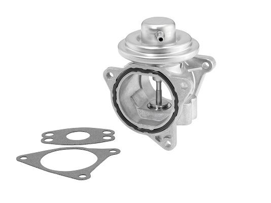 BORGWARNER 7496D | EGR Valfi VW 1.9 TDI Jetta,Golf V Bkc Bkd Bkp