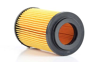 BSG 60-140-002 | Yağ Filtresi