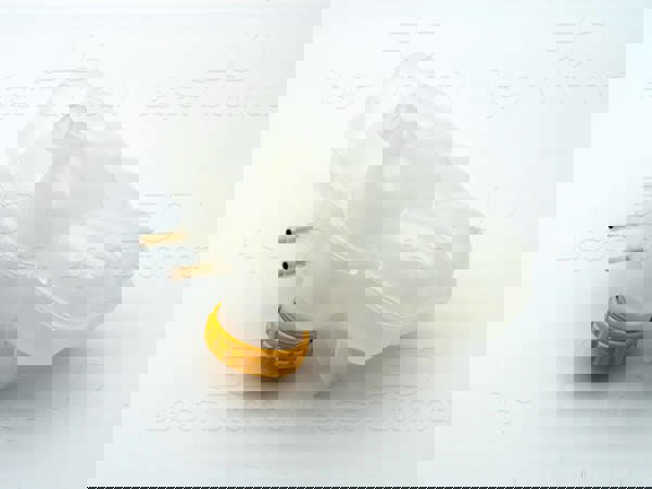 WISCO 2113988-00 | Radyatör Su Deposu Kapaklı Opel Meriva A Mpv 1.6 03-10