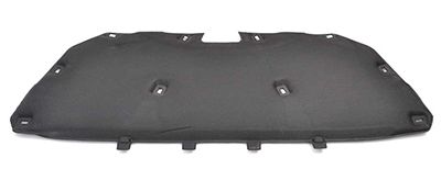 BSG 30-922-095 | Kaput Izolatörü Focus 12 -