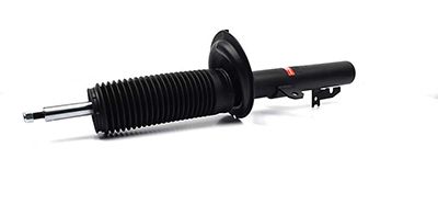 BSG 30-300-011 | Amortısör Ön Sağ / Sol