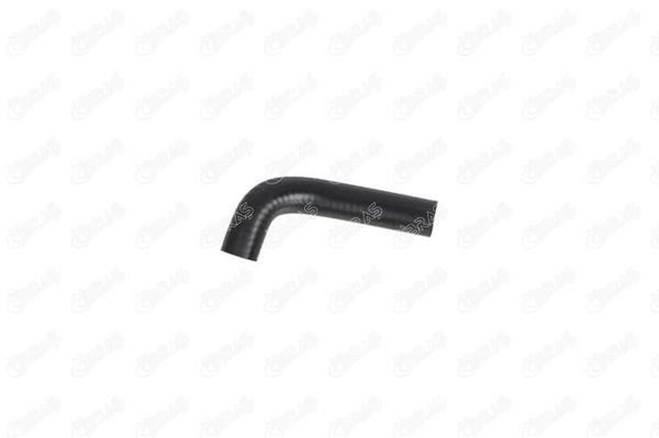 IBRAS 11119 | Karbüratör Hortumu R12 1.4 77- | 10 Adet