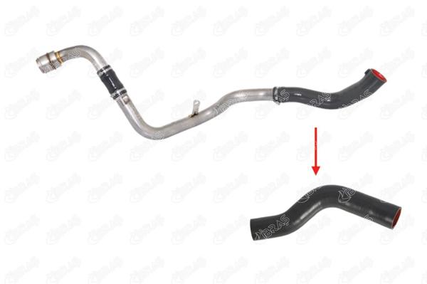 IBRAS 11148 | Turbo Hortumu Logan Sandero 1.5 DCI 10-