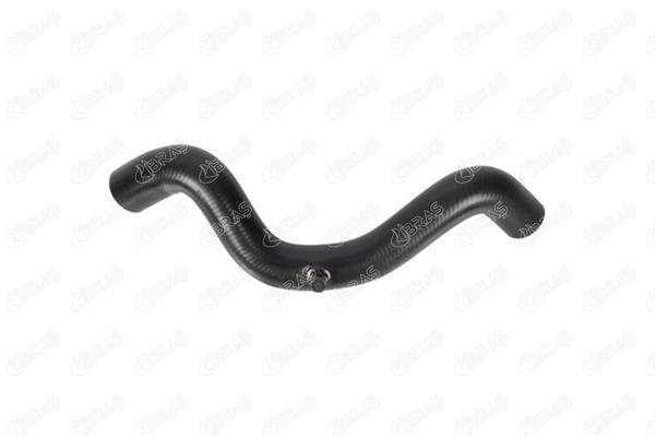 IBRAS 11315 | Radyatör Hortumu Üst R19 1.4 92-
