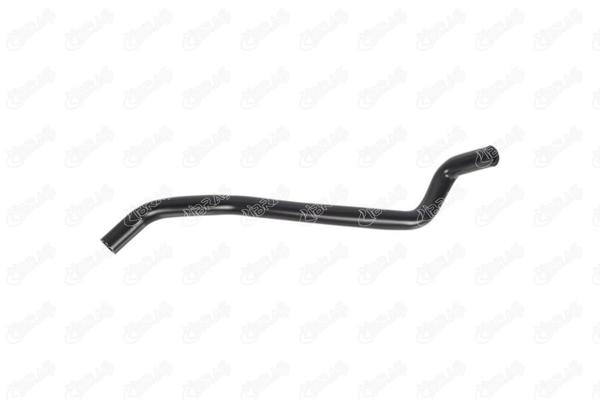 IBRAS 11510 | Radyatör Yedek Su Depo Hortumu Megane R19 1.6 8V K7m