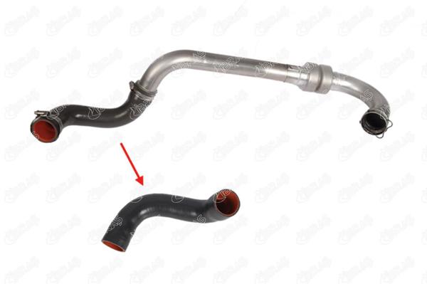 IBRAS 11570 | Turbo Hortumu Megane II Scenic II 1.5 DCI 03-