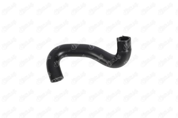 IBRAS 11845 | Kalorifer Hortumu Clio / Kangoo / Symbol 1.5 DCI 03-