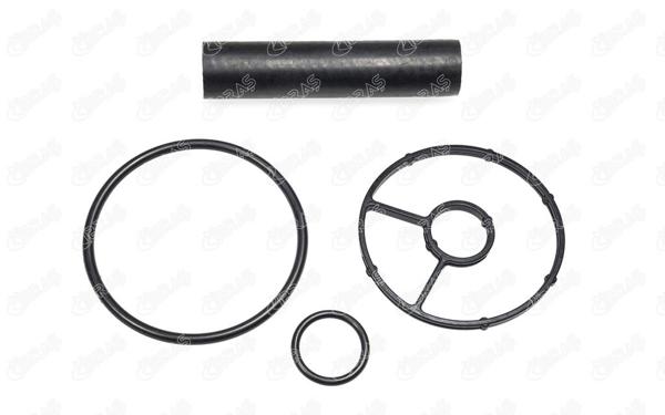 IBRAS 17389 | Yağ Filtresi Contaları Ford, Citroen, Peugeot C Max, Focus III, Galaxy III, S Max I, Mondeo IV, Kuga I C4, C4 Picasso, C5, C8, Ds4, Ds5, Jumpy III 307, 308, 407, 508, 607, 807, 3008, 5008, Expert III, Rcz 2.0
