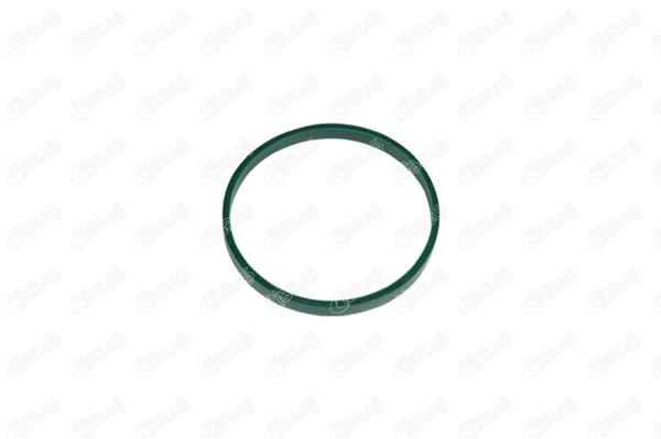 IBRAS 35041 | Manifold Contası Emme | 1 Adet