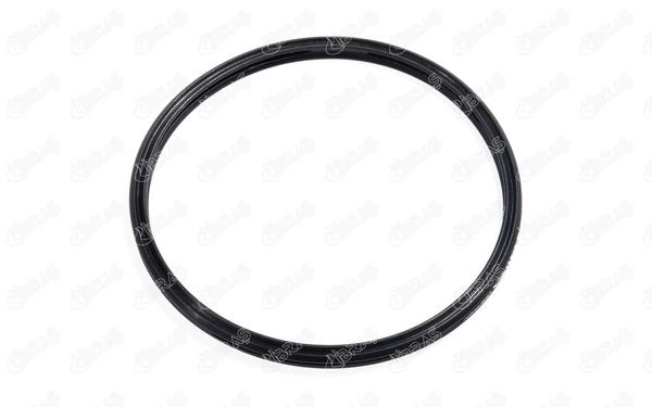 IBRAS 35194 *5 | Turbo Hortum Contası X5 E70-X5 F15-X6 E71-X6 F16 M57n2-N57n 07-| 5 Adet
