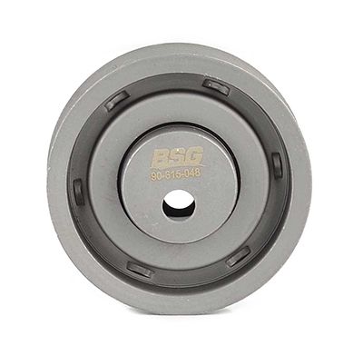 BSG 90-615-048 | Eksantrik Gergi Rulmanı 531 0063 10