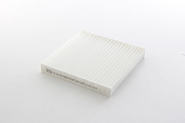 BSG 25-145-014 | Polen Filtresi