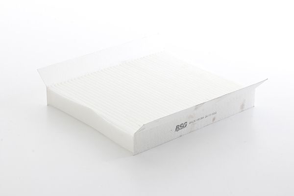 BSG 35-145-004 | Polen Filtresi .