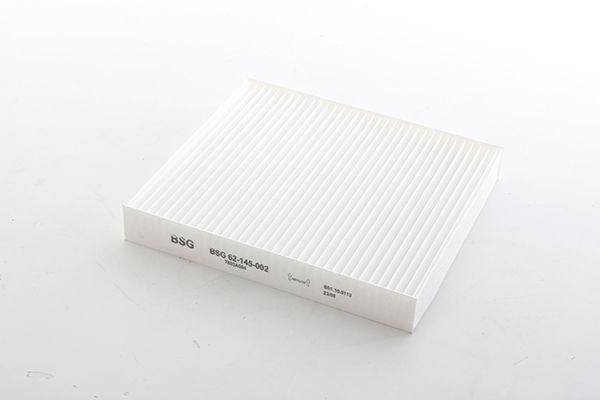 BSG 62-145-002 | Polen Filtresi .