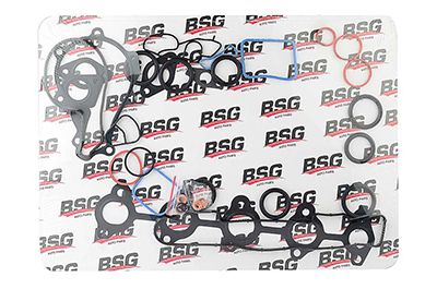 BSG 30-115-021 | Takım Conta Focus 1.6 TDCI 03 -