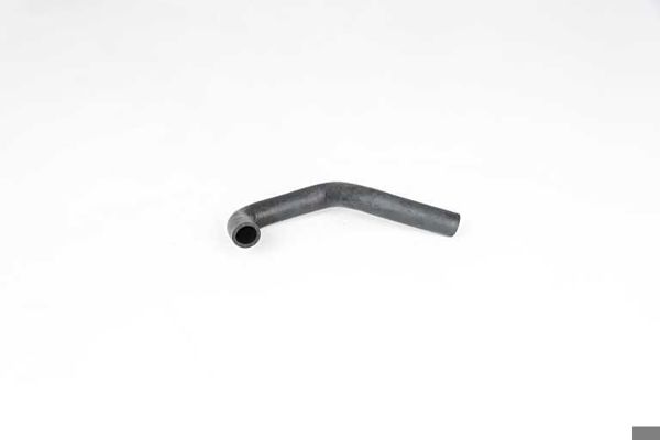 BSG 65-700-358 | Termostat Hortumu