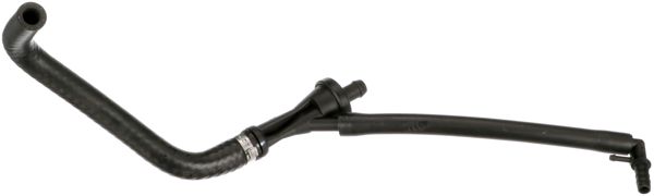 RAPRO R19854 | Vakum Hortumu E39 / E46-M54