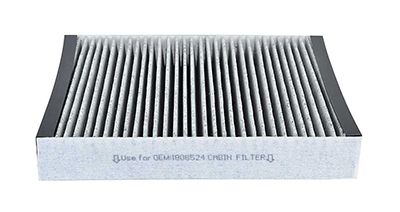 BSG 65-145-013 | Polen Filtresi Karbonlu