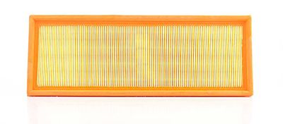 BSG 90-135-005 | Hava Filtresi E393l / Lx 997