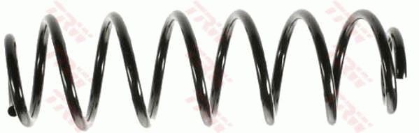 TRW JCS109 | Helezon Yayı Arka