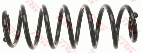 TRW JCS1092 | Helezon Yayı Arka