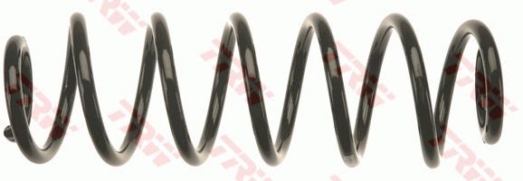 TRW JCS1333 | Helezon Yayı Arka