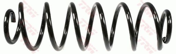 TRW JCS153 | Helezon Yayı Arka