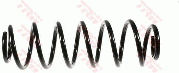 TRW JCS445 | Helezon Yayı Arka