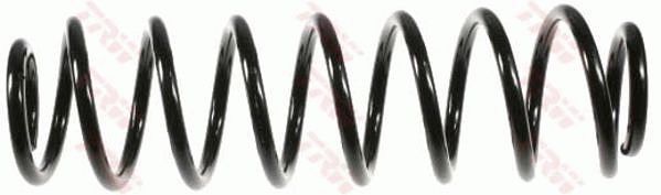 TRW JCS475 | Helezon Yayı Arka