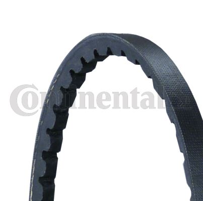 CONTINENTAL CTAM AVX10X1750 | Kanallı V Kayışı