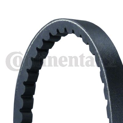 CONTINENTAL CTAM AVX13X1900 | Kanallı V Kayışı