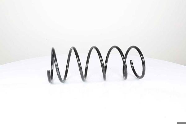 BSG 70-305-004 | Helezon Yayı Ön 206 / 306 B.M 00 -