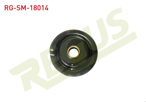 REGUS RG-SM-18014 | Amortisör Canak Arka Sol-Sağ Citroen Jumper I 1.9 D 1994-2002