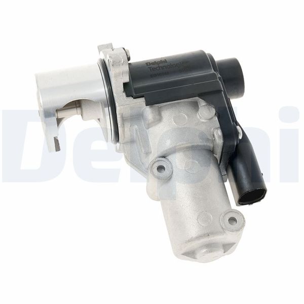 DELPHI EG10645-12B1 | EGR Valfi Transporter T6 T7 12 > 19 2.0 TDI Cfca