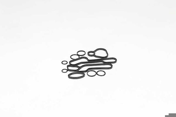 BSG 65-116-001 | Yağ Soğutucu Contası