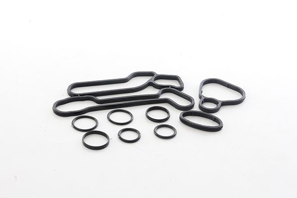 BSG 65-116-002 | Yağ Soğutucu Contası Takım / Orıngler Dahıl