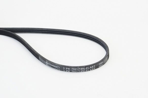 CONTINENTAL CTAM 3PK762 ELAST | V Kayışı