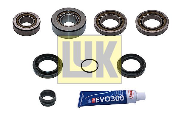 LUK LUK 462 0398 10 | Şanzuman Tamir Takımı